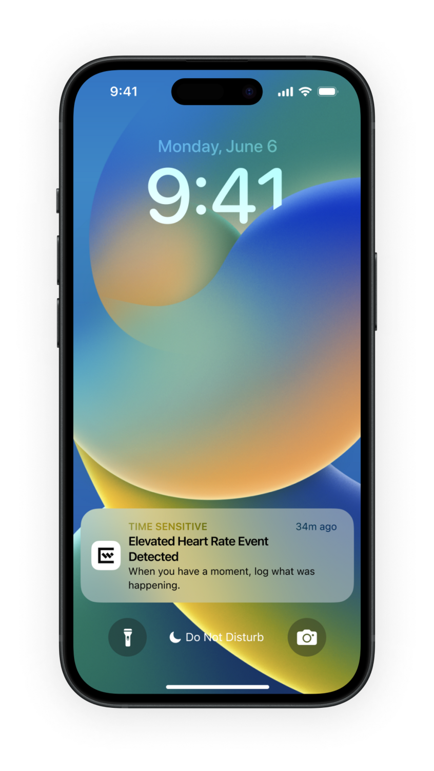 ESNTL landing screen that adapts through the day