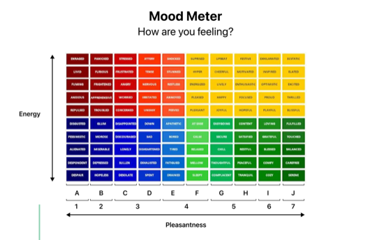 The Yale Mood Meter framework